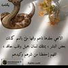 user7969954315545