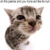 titlefightlover101