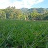 catrachita9068