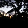 princesshannah455