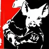 cagalhaoobscuro566