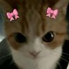 lia.mary43