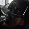 safetyinstructer.fbh