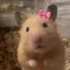 ふちゃま