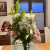 sonnenblume291