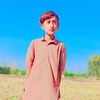 rashidlashari8292