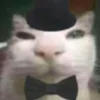 mantomthitcho