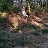 alexsaputra7933