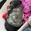 the_bearsjourney