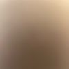 vip_21200
