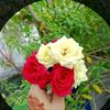 user5252886093132