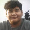 Albert_mss