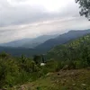 sherdilmojza