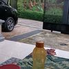 hakimsaragih7