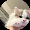 _minu_9303