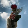 nona_21a0