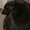 amy.amy2430