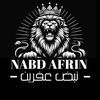 mustafa.hanan6