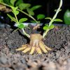 endy.garden