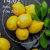 jalma.m