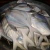 altafhussian_90