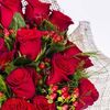 emine.zdemir6504