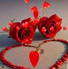 01893640789rozina