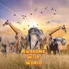 awesomewildworld