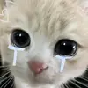 nuraybri