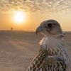 🌷المصممه ريــم🌷