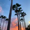 floridasunmom