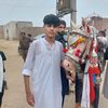 rai_ali_18