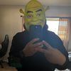 shrekwitdahoodie