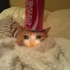 nikossss44