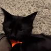 djtheone48