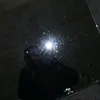 robikzz11