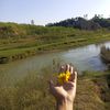 fizafiza7579