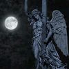 .the_best_wenndy