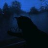 ali_02915