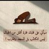 user40506512463161