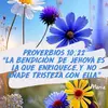 arturo.romero9162