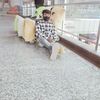rabisardar66