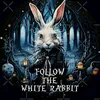 💥WhiteRabbit💥Unzensiert💥2.0