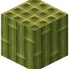 1334_vert_mister_bambuk