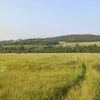 lanzet3