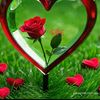 user49658065706