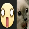 ___polinnn___