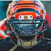 brady.debiasi