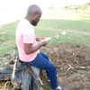 dkatima