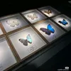 zaze18_5